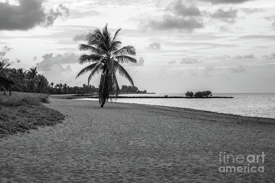 Smathers Beach Key West Florida Black and White Photo Photograph by Paul Velgos