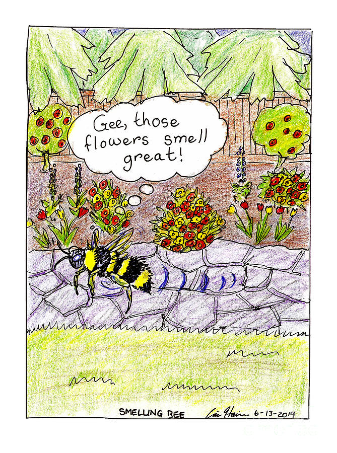 Smelling Bee Drawing by Eric Haines