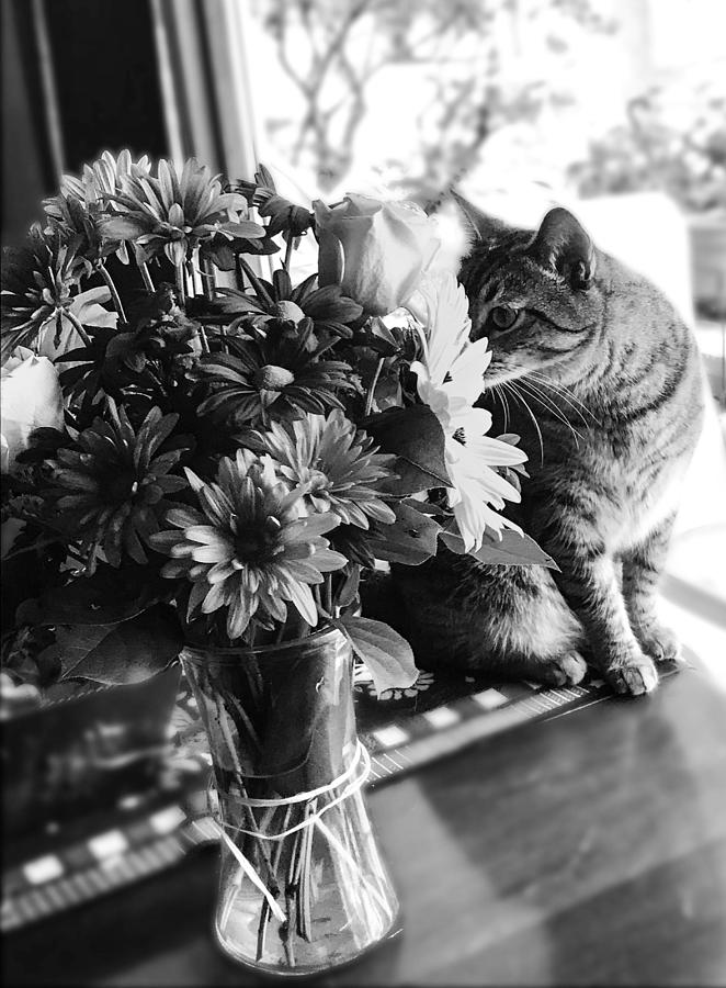 Smelling Flowers Monochrome Photograph by Eileen Backman