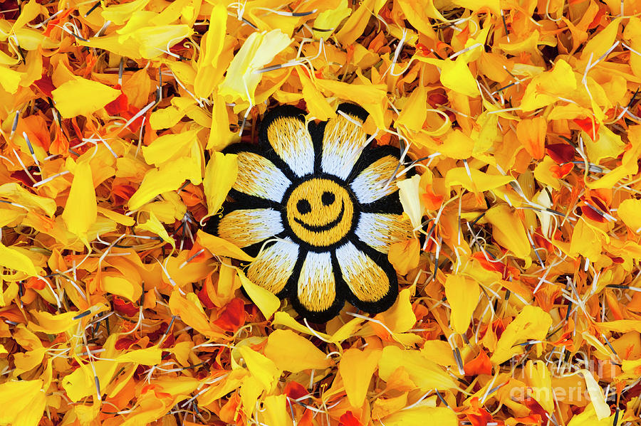 Smiley Yellow Flower Face Photograph by Tim Gainey