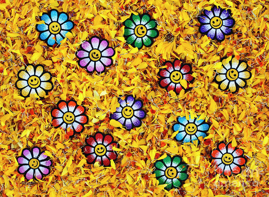 Flower Photograph - Smiley Yellow Flower Faces in Marigold Petals by Tim Gainey