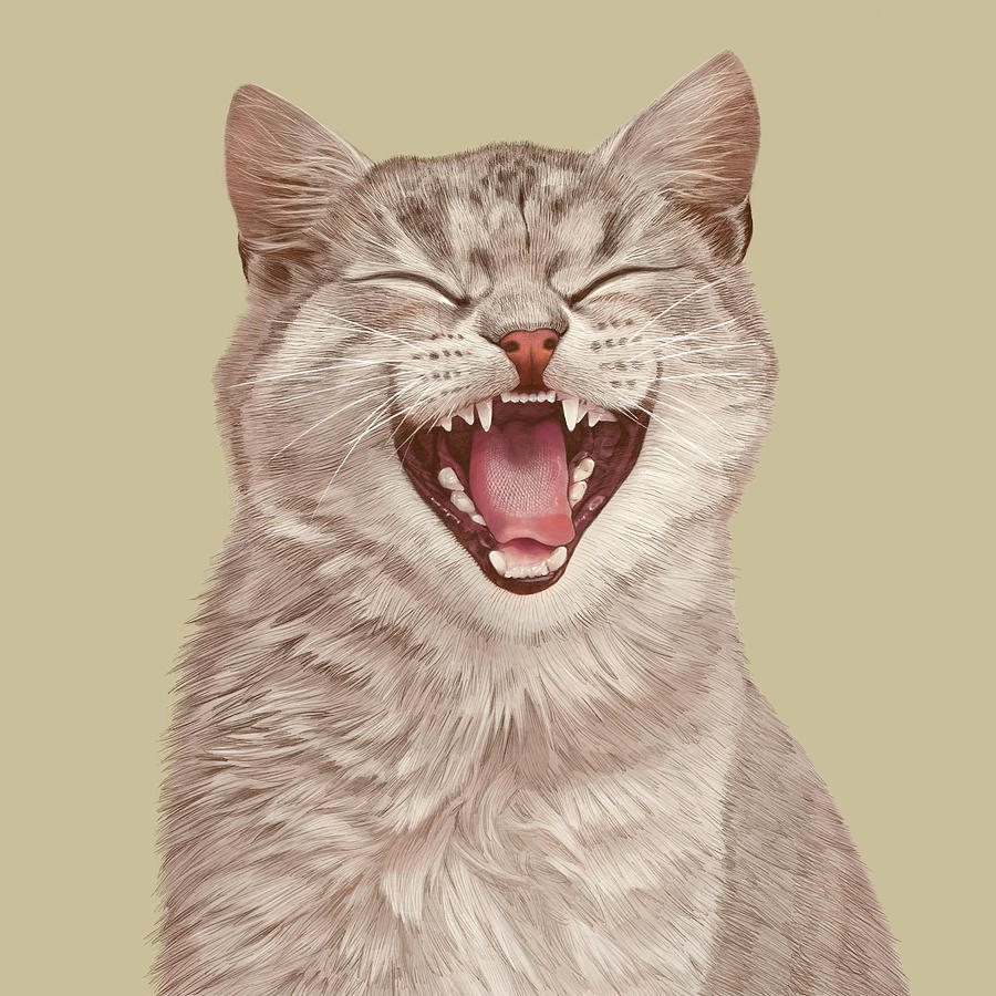 Smiling Cat 01 Drawing by Tu Tu - Pixels