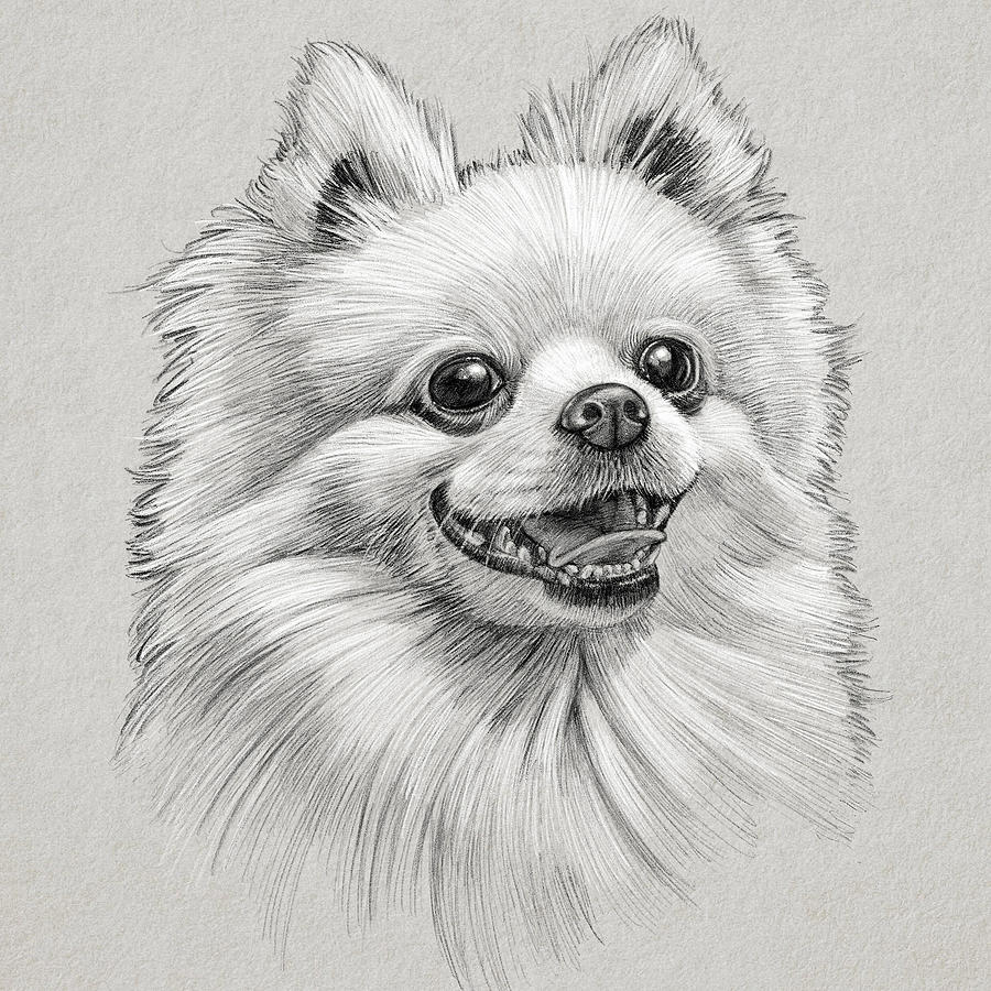 Smiling Dog Drawing ubicaciondepersonas.cdmx.gob.mx
