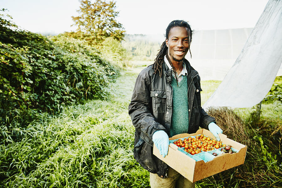 Smiling farmer holding box of organic tomatoes Photograph by Thomas Barwick