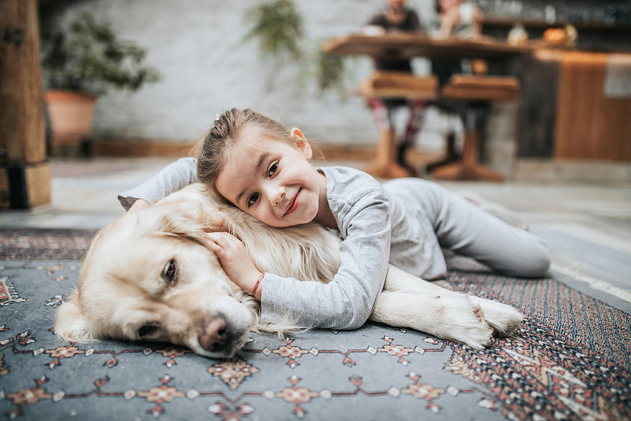 Smiling girl and her golden retriever on carpet at home. Photograph by Skynesher