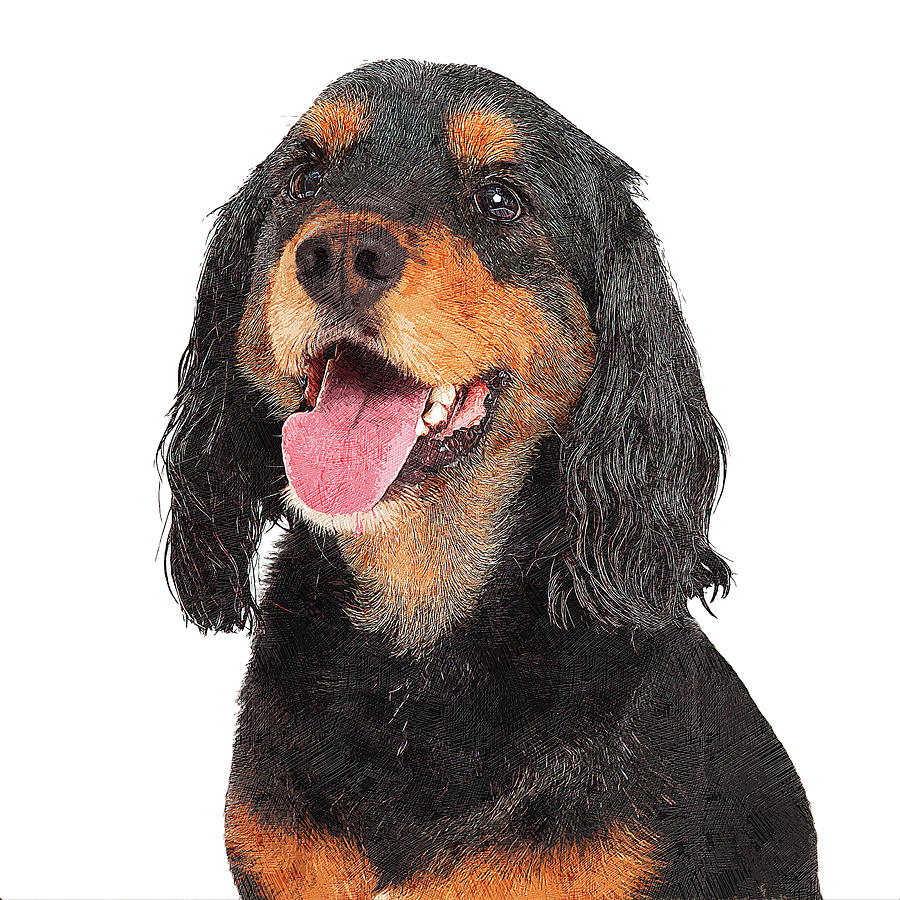 Smiling Gordon Setter Dog Painting by Custom Pet Portrait Art Studio
