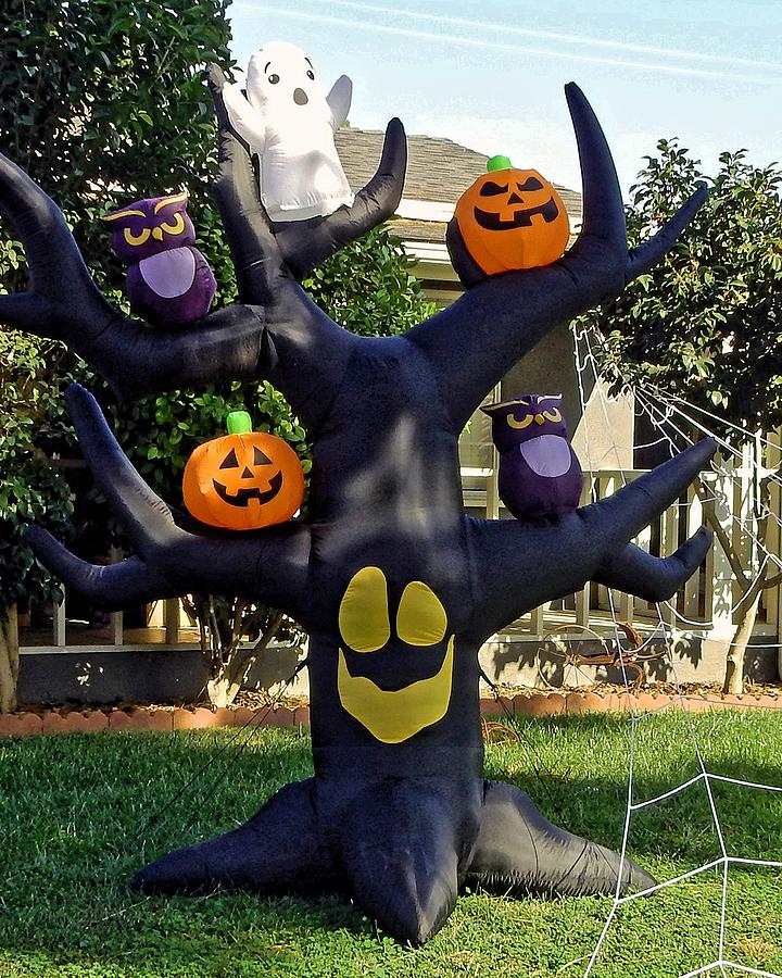 Smiling Halloween Tree  Photograph by Andrew Lawrence