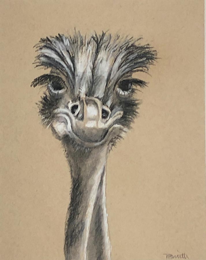 Smiling Ostrich Pastel by Teresa Smith