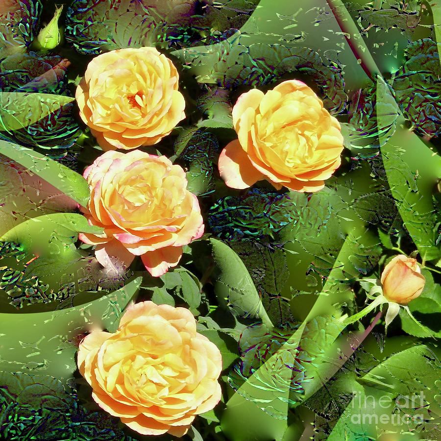 Smiling Roses Photograph by Phyllis Kaltenbach