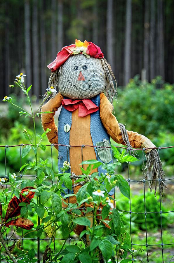 Smiling Scarecrow Photograph by Carolyn Marshall