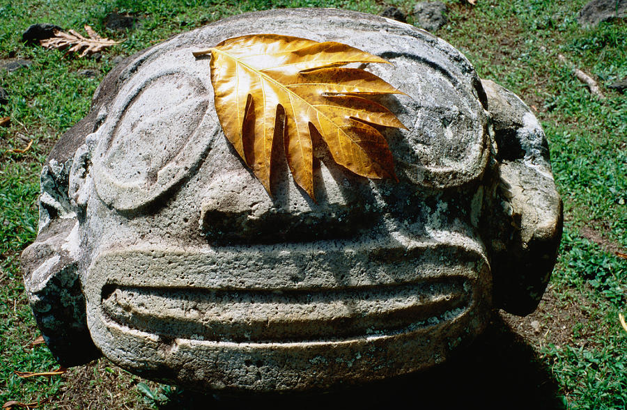 Smiling Tiki and breadfruit leaf, Lipona archeological site. Photograph by Holger Leue