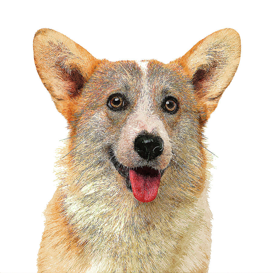 Smiling Welsh Corgi Pembroke Dog Painting by Custom Pet Portrait Art Studio