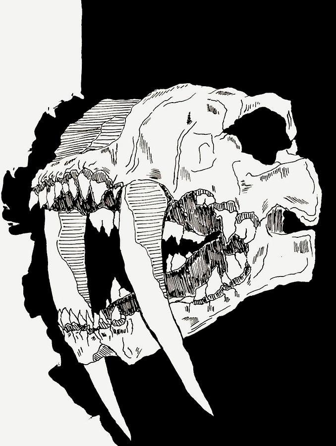 Smilodon Drawing by Ink Lead Monster Heads | Fine Art America