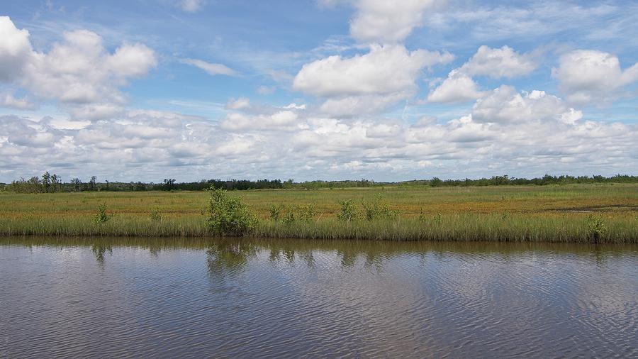Smith Creek Marsh And Clouds Photograph