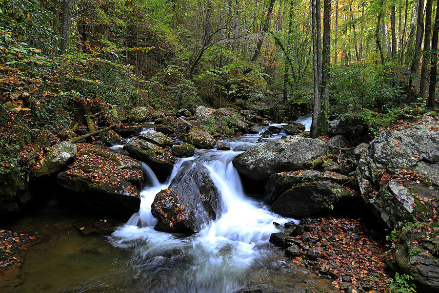 Smith Creek North Georgia Photograph by Richard Krebs