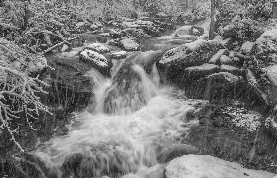 Smith Creek Snowy Flow Photograph by David R Robinson
