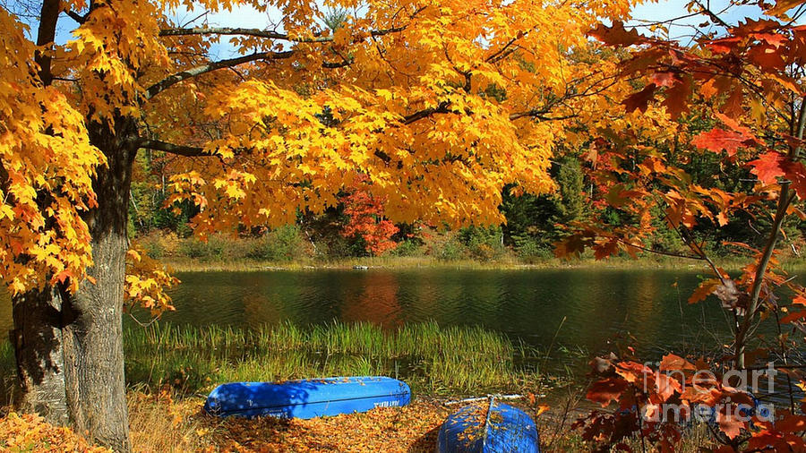 Smith Mountain Lake Autumn Photograph by Sandi OReilly