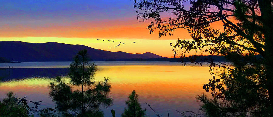 Smith Mountain Lake Geese Sunset Photograph by The James Roney Collection