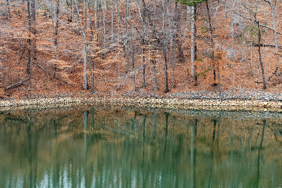 Winter Photograph - Smith Mountain Lake by Jean Haynes