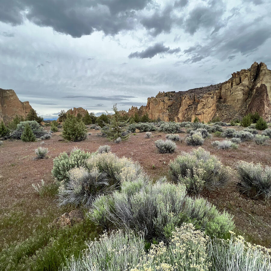 Smith Rock State Park No1 Photograph by Bonnie Bruno