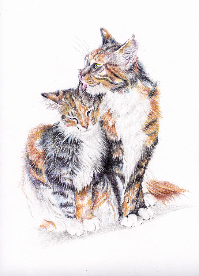 Cat Painting - Smitten - Cats in Love by Debra Hall