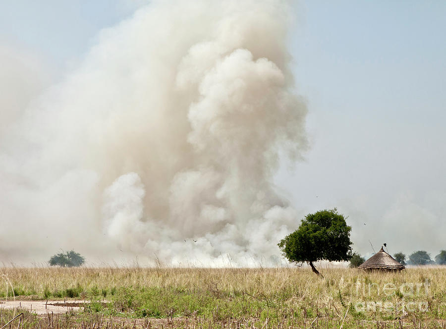 Landscape Photograph - Smoke rises into the sky in rural South Sudan. People burn the l by John Wollwerth