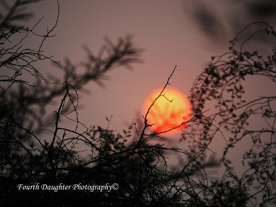 Smokey Arizona Sunset Photograph by Diane Shirley