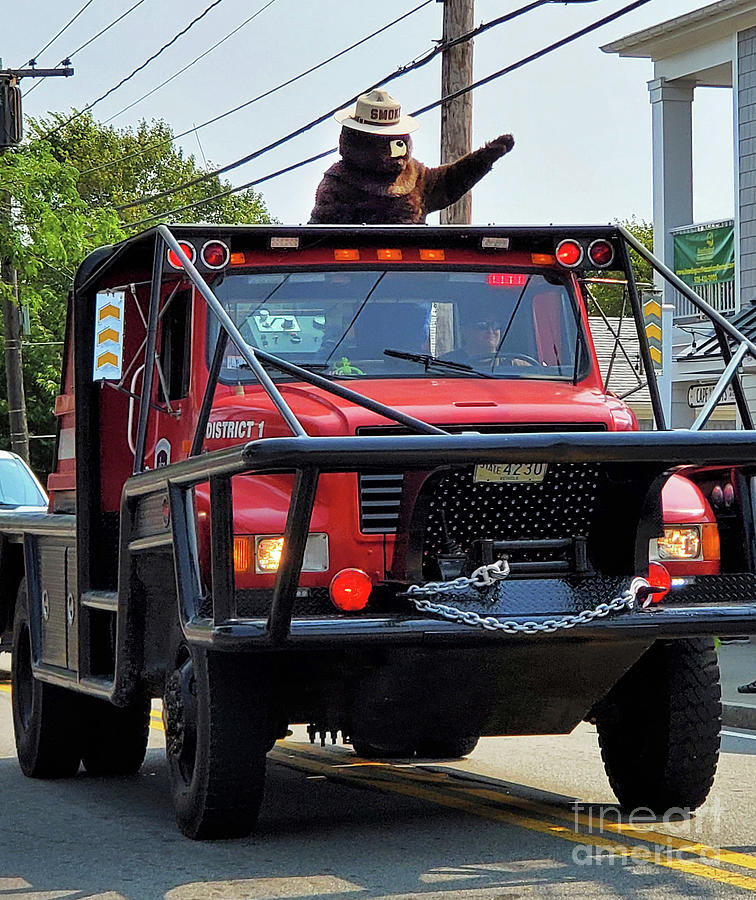 Smokey Bear in the Harwich Parade Photograph by Sharon Williams Eng