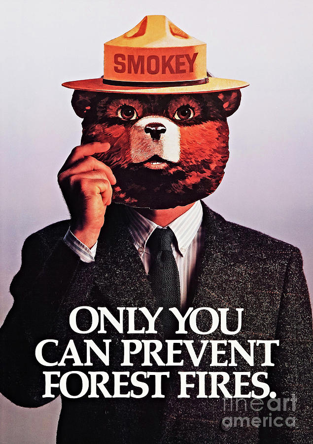 Smokey Bear Only You Can Prevent Forest Fires Yuppie Business Suit 1985 Painting by Peter Ogden