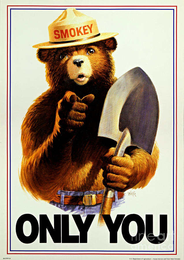 Smokey Bear Only You Uncle Sam Style  Painting by Peter Ogden