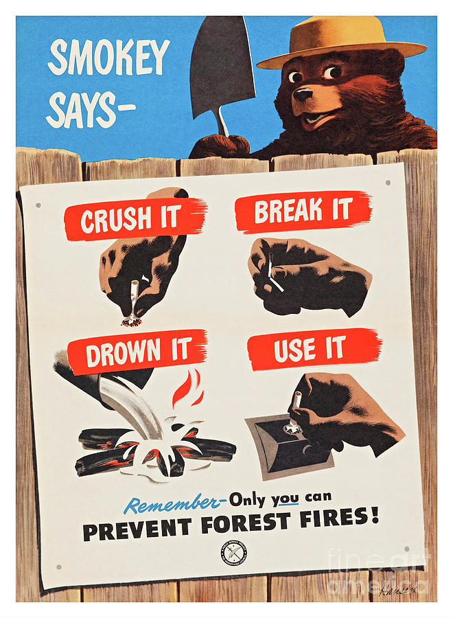 Smokey Bear Says Only You Can Prevent Forest Fires Vintage 1950 Poster Painting by Peter Ogden