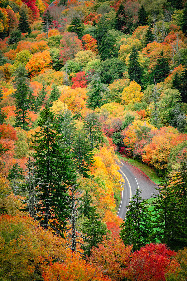 Smokey Mountain Colors Photograph by Murdock Photography - Fine Art America