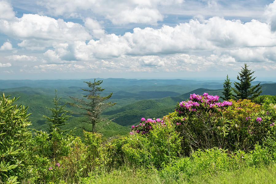 Smokey Mountains in spring Photograph by Delano D Graves - Fine Art America