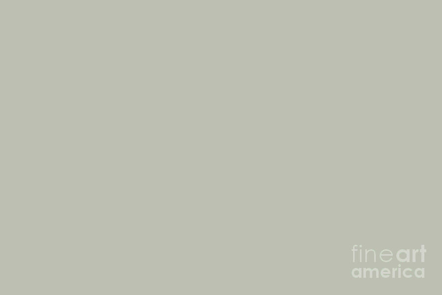Smokey Pastel Green Grey Solid Color Pairs 2023 Color Of The Year Hgtv Austere Gray Hgsw6184 Simply Solids 