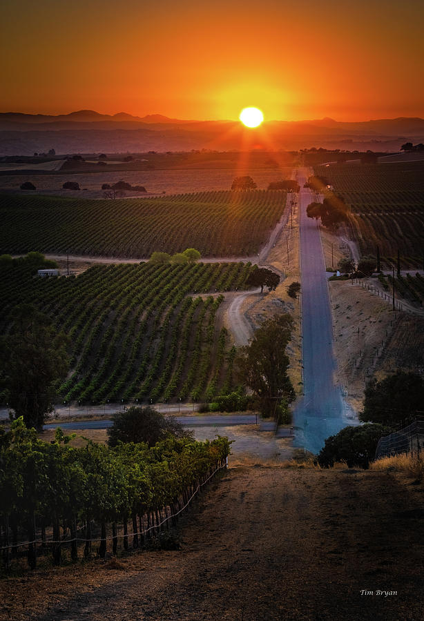 Sunset Photograph - Smokey Sky over the Paso Robles Wine Country by Tim Bryan