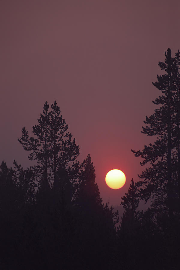 Smokey Sunrise Photograph by Go and Flow Photos