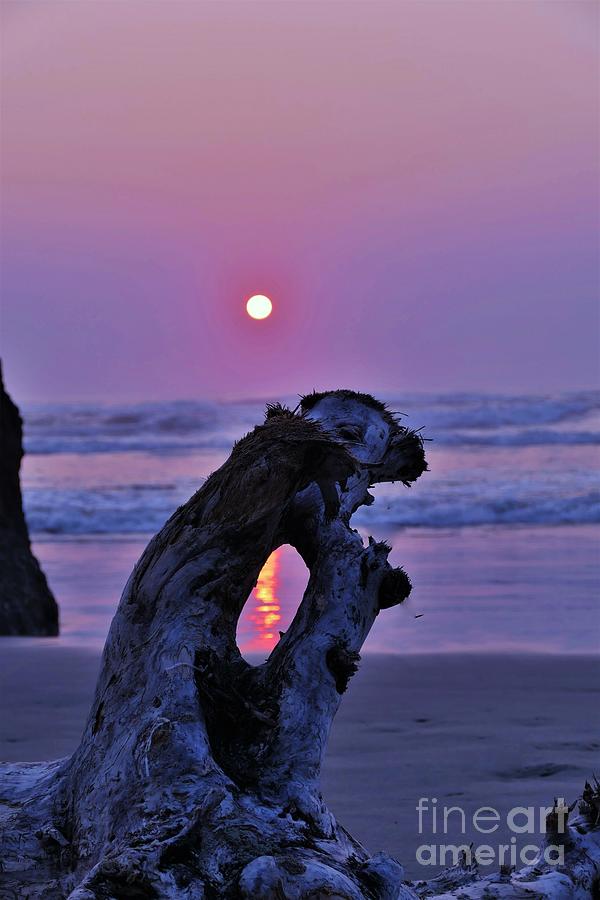 Smokey Sunset Photograph by Michele Penner