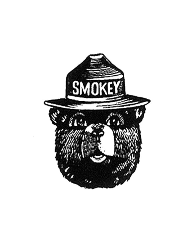 Smokey the bear Painting by Miyasdz Ben