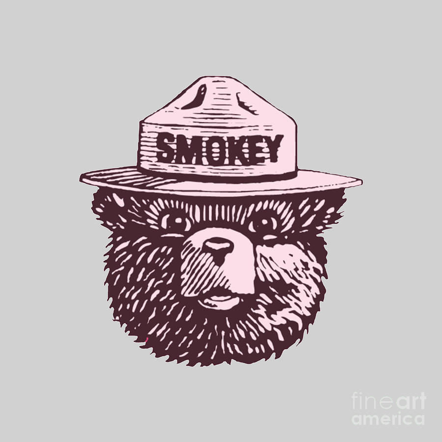 Smokey The Bear Drawing by Sandra J Phillips | Pixels