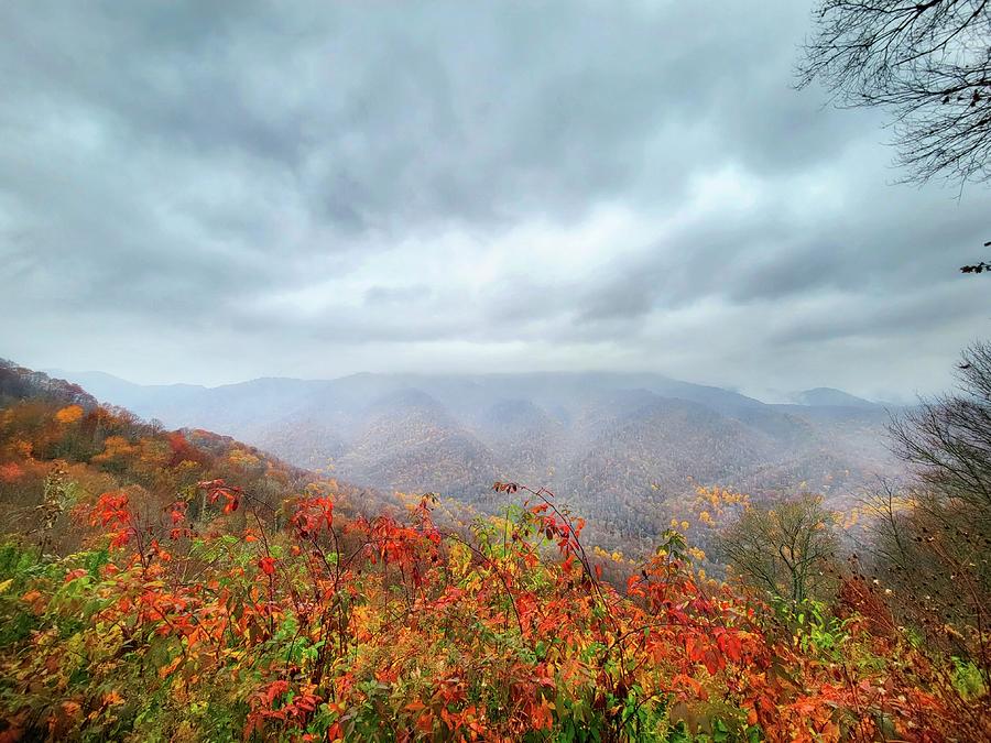 Smokies 2023 Photograph by Ally White