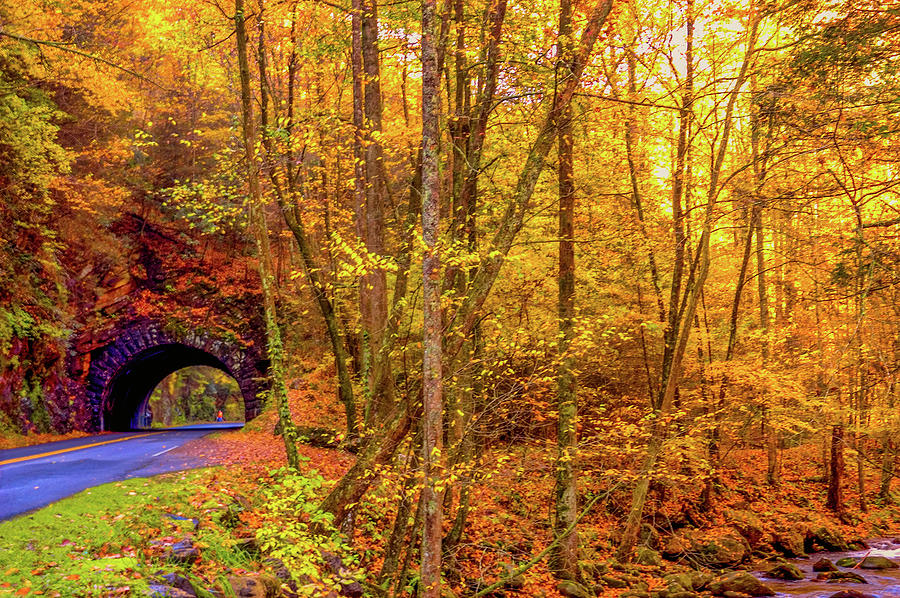 Smokies Tunnel to Cades Cove Photograph by James C Richardson