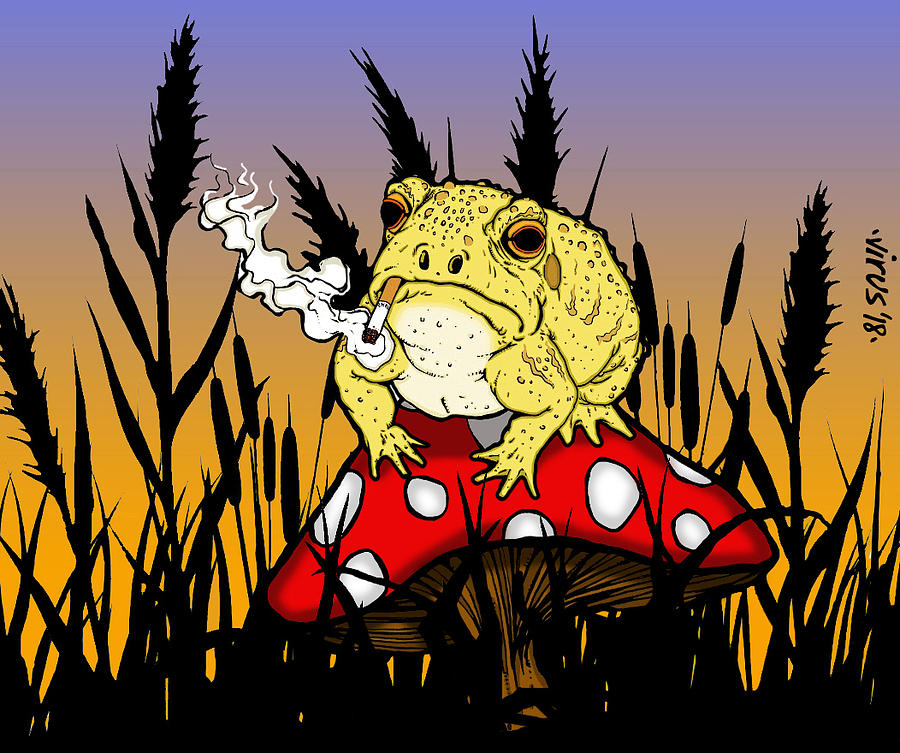 Smoking Toad Mixed Media by Cory Brian - Pixels