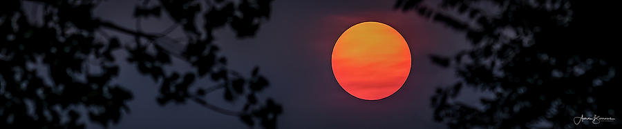 Smoky Evening Sun Photograph by Aaron Burrows