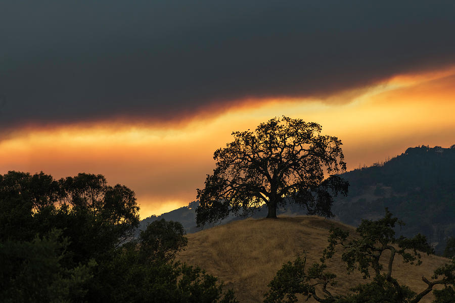 Smoky Layers Photograph by Shelby Erickson