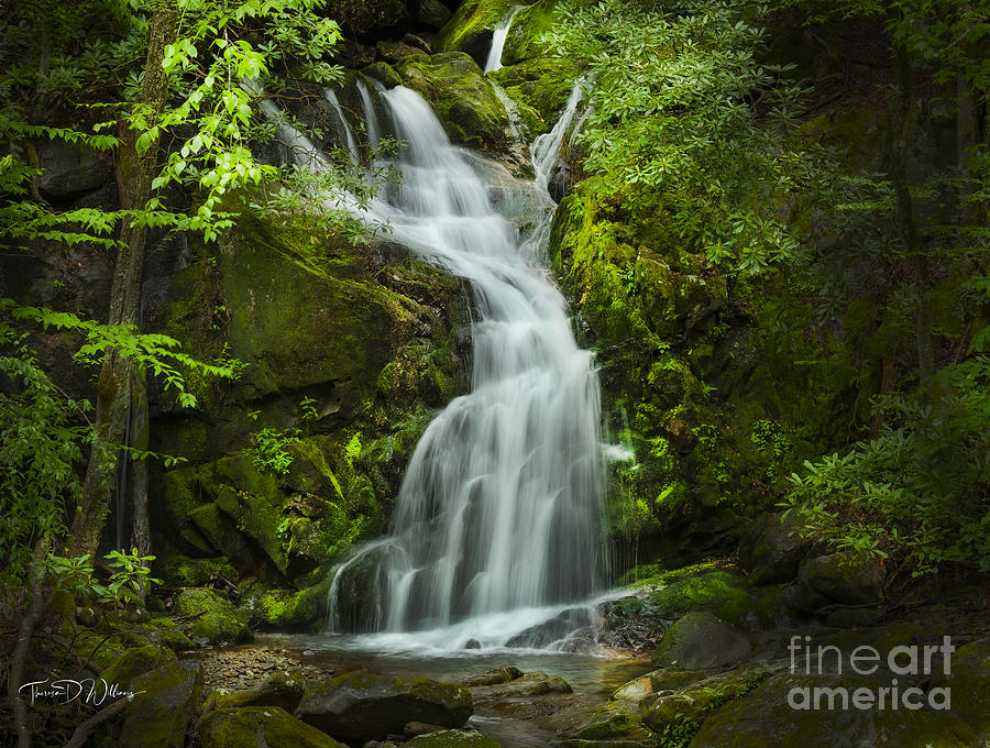 Smoky Mountain Water Angel  Photograph by Theresa D Williams