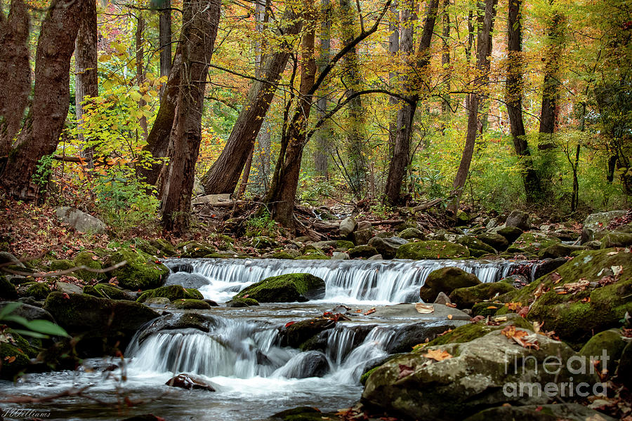 Smoky Mountain Autumn Water Photograph by Theresa D Williams