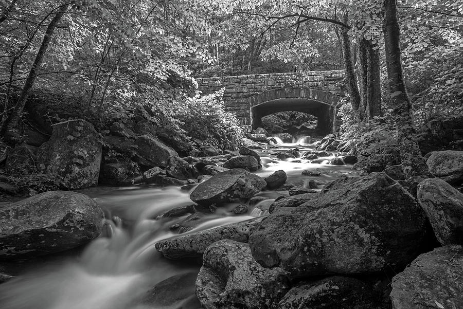 Smoky Mountain Bridge BW Photograph by Eric Albright