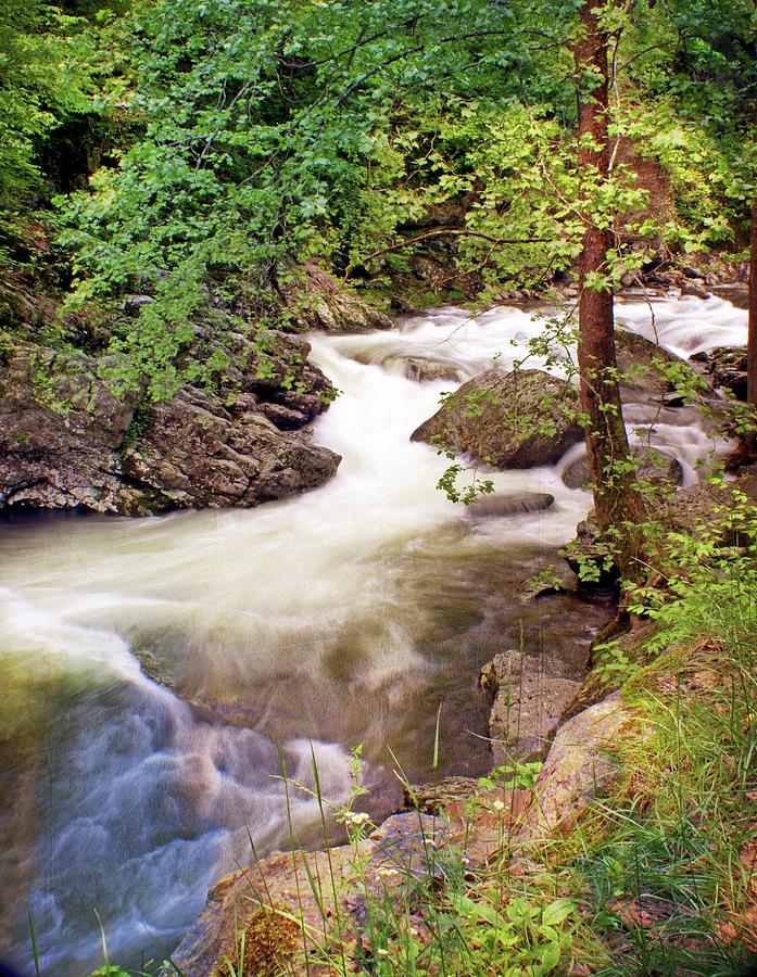 Smoky Mountain Creek Photograph by Marty Koch