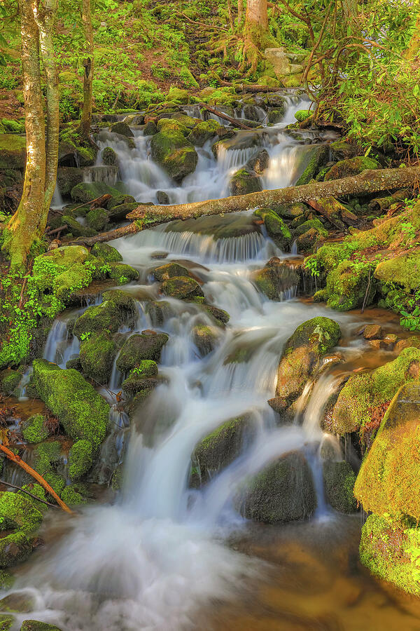 Smoky Mountain Long Exposure Waterfall Photograph by Dan Sproul