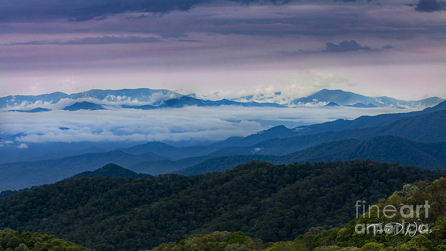 Smoky Mountain Morning Photograph by Theresa D Williams